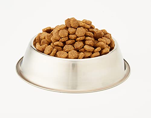 Eukanuba Breed Specific Dackel Trockenfutter - optimal auf die Rasse abgestimmtes Premium Hundefutter mit Huhn, 2,5 kg (Packung mit 2)