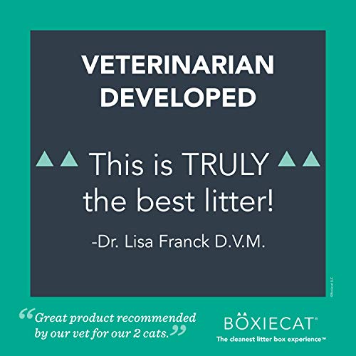 Best Clumping Cat Litter Reviews 2020 My Pet Likes It