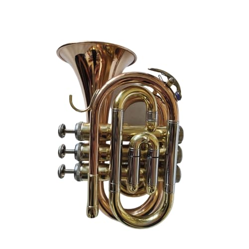 �y��g�����y�b�g �~�j�g�����y�b�g �|�[�^�u�� B�t���b�g(Phosphor Bronze)