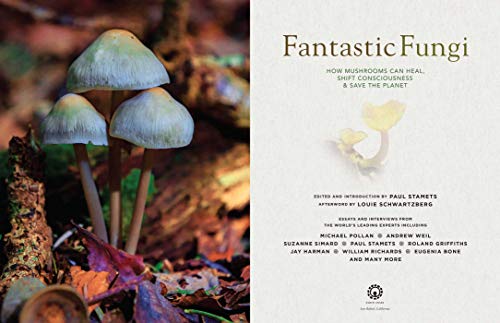 Fantastic Fungi: Expanding Consciousness, Alternative Healing, Environmental Impact // Official Book of Smash Hit… - Image 2