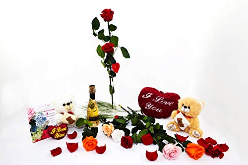 Rosen-Te-Amo |Infinity Rose Rosa am Stiel 27cm – Rosenduft |Echte Rose Geburtstagsgeschenk für Frauen, Ewige Rose in Geschenkbox| Konservierte Blume zum Weihnachten, Valentinstag, Mama, DekoGeschenk