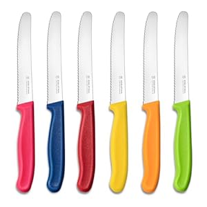 Targzier Frühstücksmesser 6 Stück Tafelmesser Set