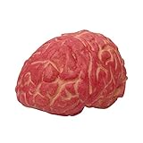 🧠Este cerebro falso es un gran accesorio para fiestas de Halloween y casas embrujadas.