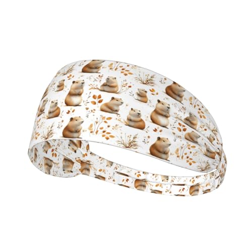 Diademas de entrenamiento para mujer – Bandas elásticas antideslizantes para el cabello de mujer, bonita banda capibara Q que absorbe la humedad para deportes, correr, atletismo, tenis, yoga, gimnasio