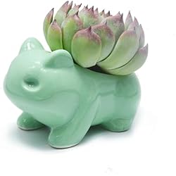 Binoster Maceta decorativa de cerámica para manualidades, color verde