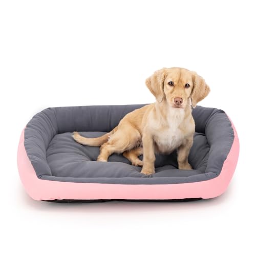 PETS APPAREL HILLS Cama para Perro, Resistente, Confortable, con Relleno Suave, Medidas y Color a Elegir (Medium, Rosa)