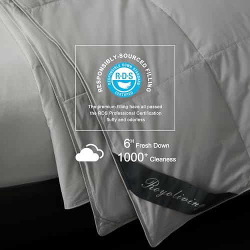 Image of Royoliving Premium Lightweight Feathers Down Duvet Insert Thin Comforter King Size Gray Summer Cooling Blanket Grey 100% Cotton Cover with Coner Tabs (106x90, 40 oz)