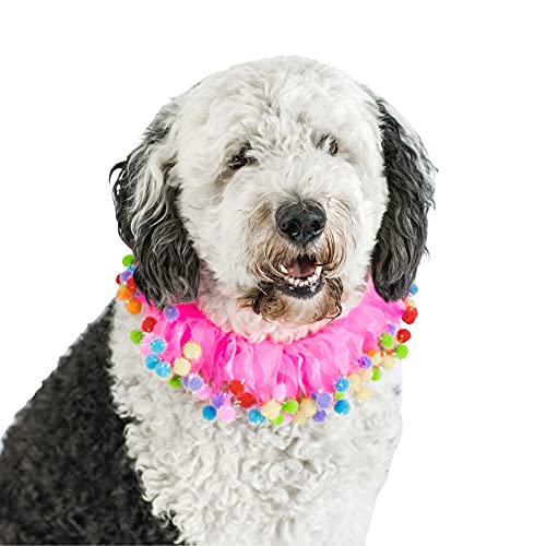 Midlee Pink Birthday Pom Pom Dog Collar (X-Large) #TOP1