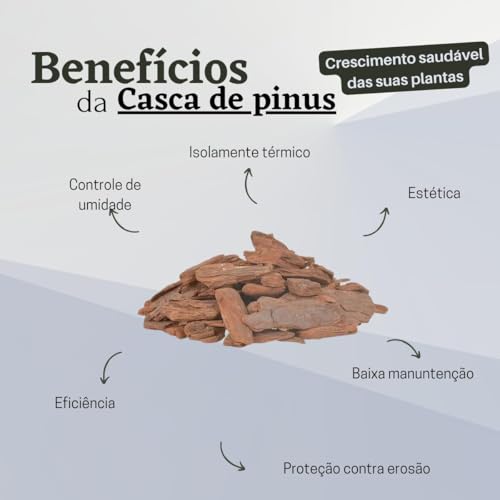 Casca de Pinus Polida para Jardinagem 1 Litro