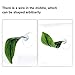 Boao 4 Pieces Betta Fish Tank Accessories Betta Leaf Hammock Pad Simulating The Natural Habitat for Tank Aquarium Spawning Grounds Breeding Resting Bed(Single Leaf)