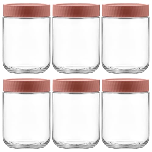 Danmu 16 oz Overnight Oats Containers with Lids,Meal Prep Containers 6 Pack,Mason Jars 16 oz with Lids for Snack,Overnight Oats,Yogurt,Parfait,Soup,Smoothies,Salad 100% Leak-proof Dishwasher Safe