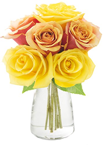 KaBloom Half Dozen Orange and Yellow Roses