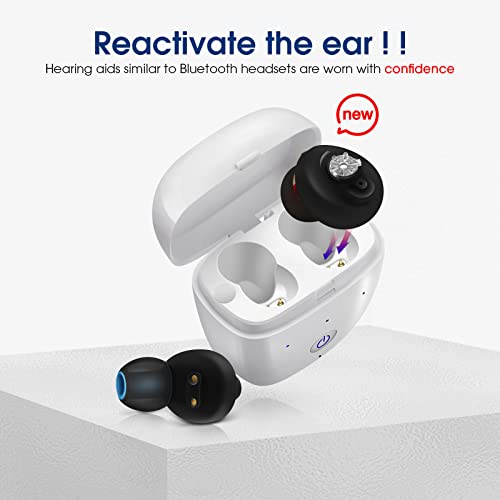 Britzgo Hearing Aids With Up To Combined 20 Hours Of Use For Seniors&Adults Who Have Hearing Loss,Mobile Charging Model,Intelligent Noise Cancellation,Invisible In-Ear Devices,Black,Pair #TOP1