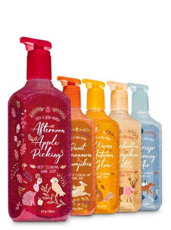FALL TRADITIONS Deep Cleansing Hand Soap, 5-Pack