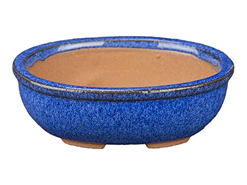 Maceta bonsai ovalada de gres esmaltado azul 8x6x2,5 cm - SF34