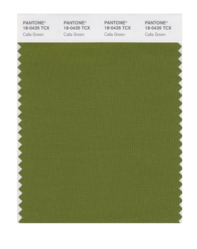 PANTONE Smart 18-0435X Color Swatch Card, Calla Green