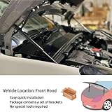 Zoom IMG-1 sylter cofano ammortizzatori per ford Zoom IMG-1 sylter cofano ammortizzatori per ford