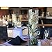 WGVI Quality Thick Weighted Tall Clear Cylinder Glass Vases, 4