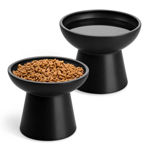 vancasso Ceramic Elevated Cat Bowls 2-Pack
