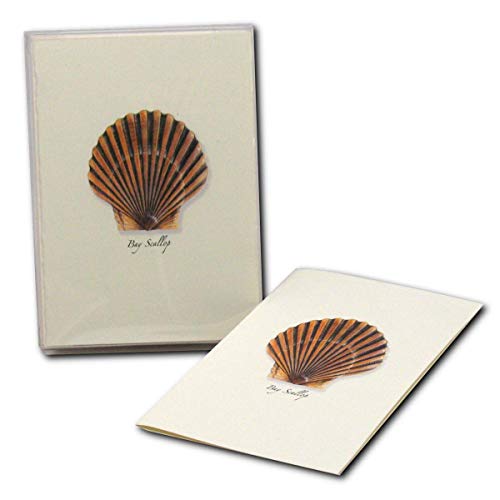 Image of Earth Sky + Water - Bay Scallop Notecard Set - 8 Blank Cards with Envelopes