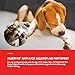 NaturVet Aller-911 Anti-Lick Paw Spray for Dogs & Cats – Includes Aloe Vera – Helps Sooth Itchy Paws, Offers Dog & Cat Allergy Support – Helps Discourage Pet Licking – 8 Oz. Spray