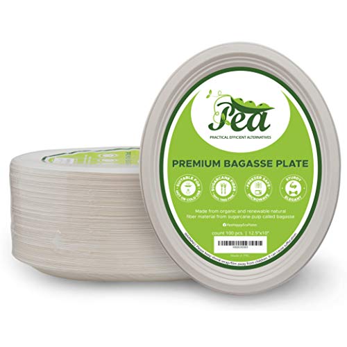 Premium Paper Plates Disposable Large Heavy Duty 100% Compostable [100 Count] Oval 12.5x10x1 inch Deep White