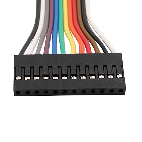 5 conectores Jumper Wire hembra 12 pines 20cm miniatura 2