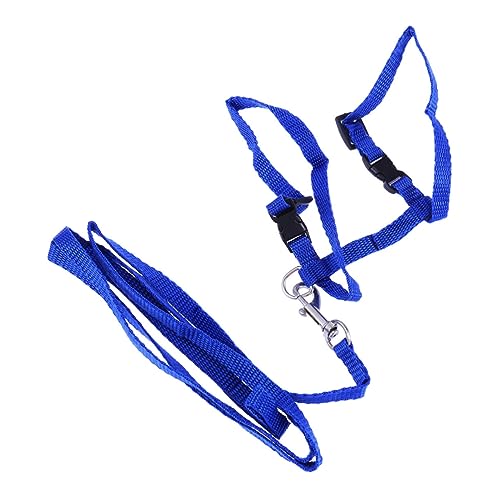 BESTonZON Pet Cat Harness with Traction Rope Nylon Collar Leash for Safe Indoor Outdoor Exploration Lightweight Blue Pet Supplies for Cats