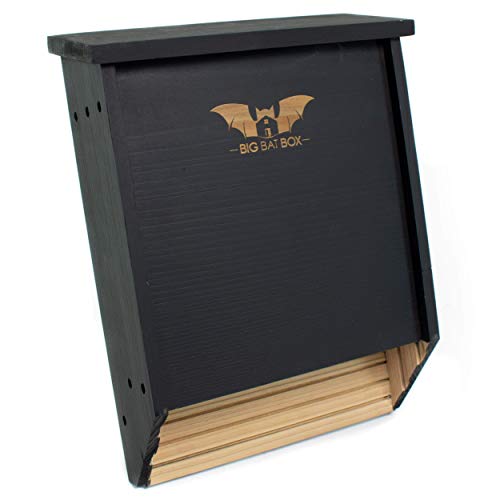 BIGBATBOX -Bat Houses for Outdoors - Proven Bat Box Design, Premium 2-Chamber Cedar
