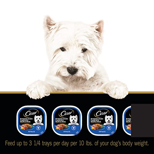 Cesar Wet Dog Food Loaf & Topper In Sauce Rotisserie Chicken Flavor With Bacon & Cheese, (24) 3.5 Oz. Easy Peel Trays #TOP6