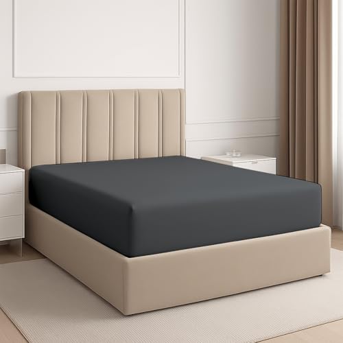 ARlinen 1 PC Queen Fitted Sheet Only, 100% Egytipan Cotton ...