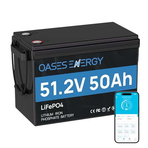 Oasesenergy 48V 50Ah LiFePO4 Lithium Battery Mini