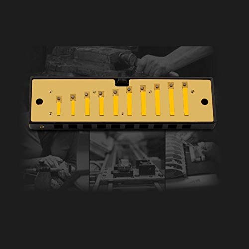 KMDSM Harmonica professionnel 10 trous, 7 tons, 12 tons, argent, convient aux débutants, performances de pointe… - Les Beatles, Paul McCartney, John Lennon, RIngo Starr, George Harrison KMDSM Harmonica professionnel 10 trous, 7 tons, 12 tons, argent, convient aux débutants, performances de pointe… – Image 4