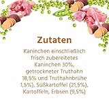 Wildfang® Hundefutter - Trocken - Getreidefreies Hundefutter - Premium Trockenfutter (2 kg, Adult Kaninchen)