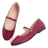 Stunner Women's Mary Jane Shoes Fashion Round Toe Ballet Flats Comfortable Leather Flats Soft Ankle Strap Flats Wine red 41(9)