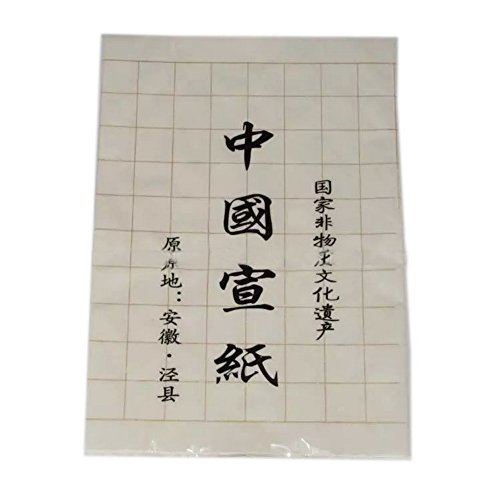 20 Sheets Practice Xuan Papers with Grids 13.5 * 54 Inches
