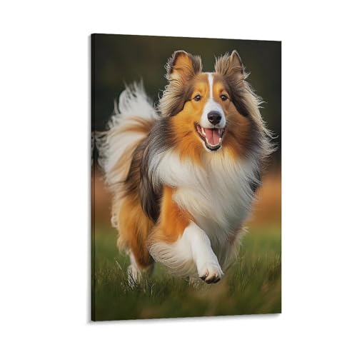 Tableau impression sur toile mouton Shetland décoration maison 40x60