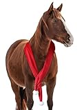 NRTFE Christmas Fleece Scarf for Horse, Red Santa Equestrian Decoration Holiday Xmas Parade