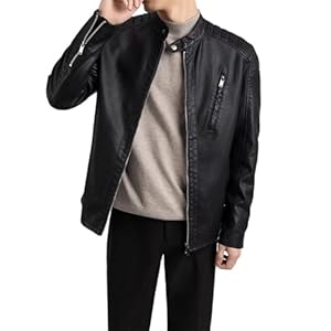 CHUNYU Herenkleding Korte jas Mannelijke slim fit jas Heren Street chic losse herfst casual jas (Color : D, Size : L)
