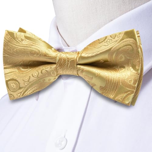 Image of Dubulle Mens Paisley Striped Bowtie Set Pre-tied Bowtie for Men and Pocket Square Set Wedding Business