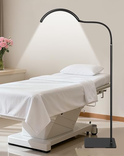 Image of Half Moon LED Floor Light - Professional Shadow-Free, Dimmable Lamp | for Lash Techs, Estheticians & Tattoo Artists | Eyelash Extensions, Nail Art, Home & Office (Charcoal Black)