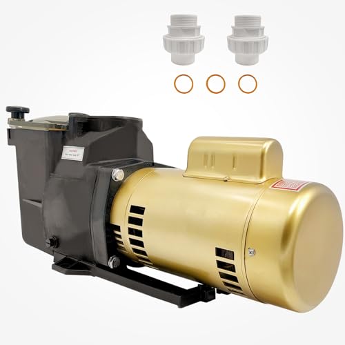 7 Best Pool Pumps and Filters for Inground Pools (Researched and Compared)
