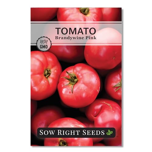 Sow Right Seeds - Brandywine Pink Tomato Seeds for Planting - Non-GMO Heirloom Beefsteak Tomatoes - Large Juicy Fruits for Garden - Ideal Beef Steak Tomato Variety - Indeterminate Slicer (1)