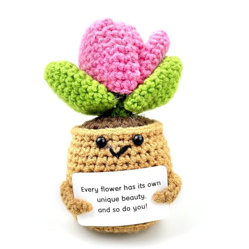 Positive Pink Succulent Potted Plants Cute Crochet...