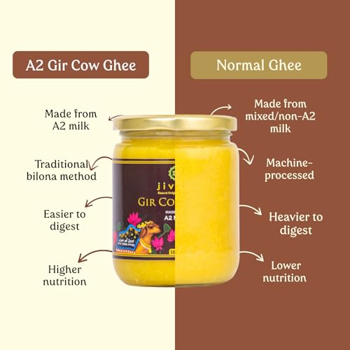 Image of Jivika A2 Gir Cow Ghee 500ml (Pack of 2) | Vedic Bilona Method Cultured Desi Cow Ghee | Grass Fed | Traditional Pure Ghee | Curd-Churned, Grass-Fed | Lab Tested