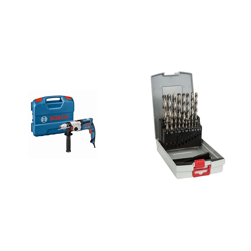 Bosch Professional GSB 24-2 Hammer Drill 1100 W 2 Speeds 3000 RPM Diameter Max Concrete Drilling 22 mm in Case + Set of 19 ProBox HSS-G Metal Drill Bits 1-10 mm (Pack of 19)