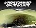 Black Out Lake and Pond Dye - One Gallon of Professional Lake & Pond Dye – Treats Up to 1 Acre – Deep Black Color - Safe for Fish, Wildlife, Pets & Children