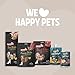 Rosewood Salmon Fillet Strips Large – Weicher Hundesnack mit 97 Prozent Lachs, proteinreich und fettarm, ohne Getreide, ohne künstliche Zusatzstoffe, 150 g