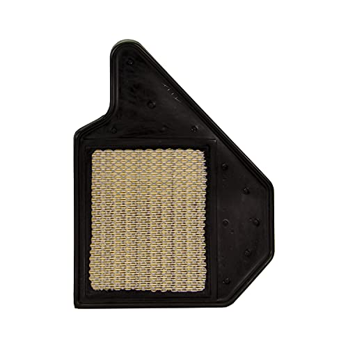 Ecogard Xa6165 Premium Engine Air Filter Fits Dodge Grand Caravan 3.6L 2011-2019 | Chrysler Town & Country 3.6L 2011-2016 | Ram C/V 3.6L 2012-2015 | Volkswagen Routan 3.6L 2011-2014 #TOP5