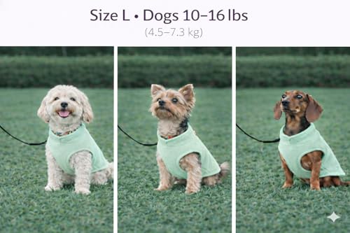 Image of JACKO & CO - Fleece Vest Dog Sweater with Leash Ring - Soft, Warm & Lightweight Pullover Coat for Small & Medium Dogs, Puppies & Cats - Cozy Fall /Winter /Spring Pet Jacket (Mint Green, Large 10-16lbs)